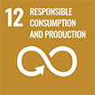 SDG sustainable production patterns